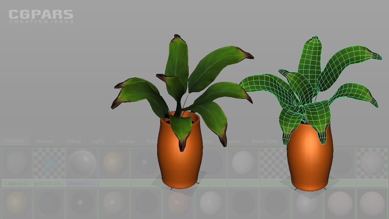 حل مشکلات متداول کاربران در مایا