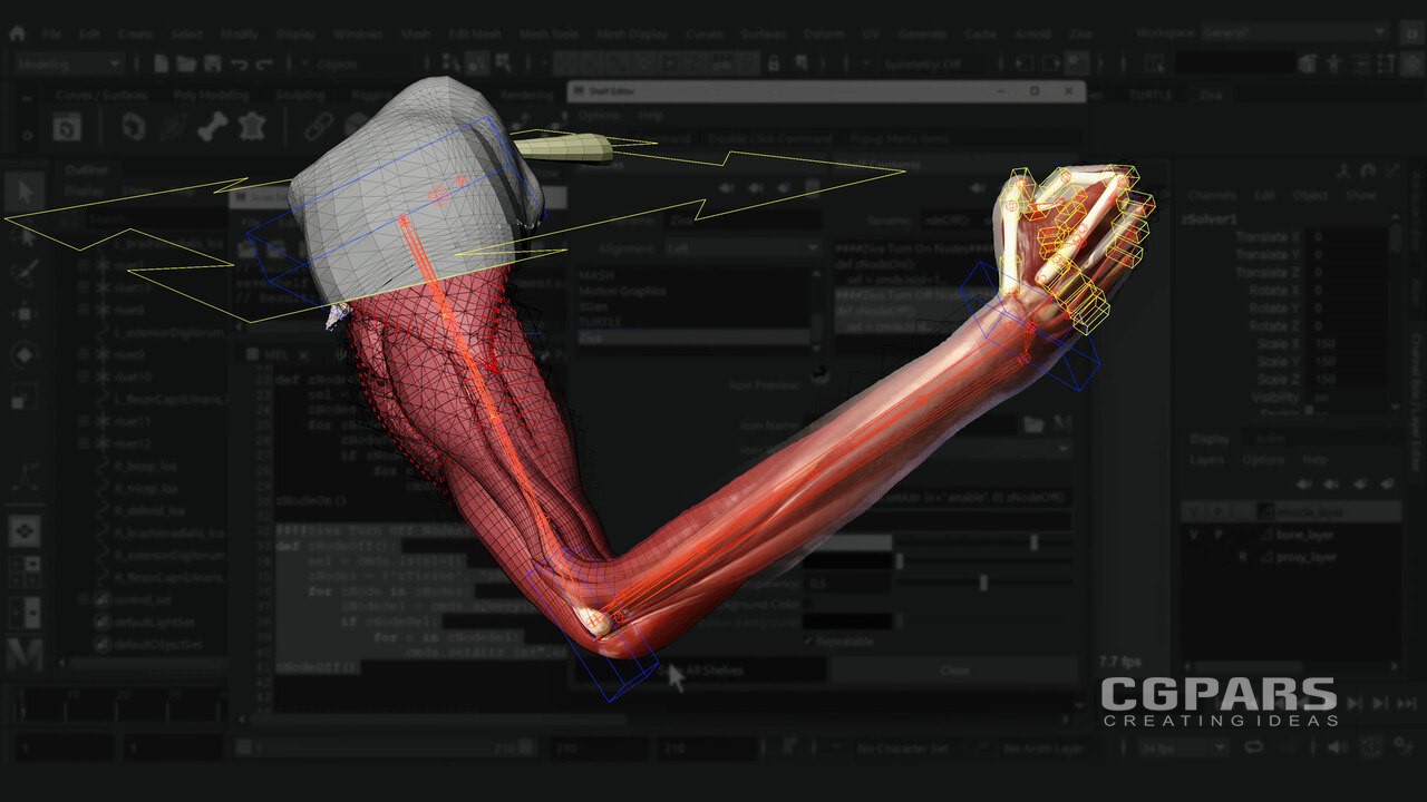 آموزش شبیه‌سازی بافت نرم