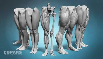 آموزش طراحی و مدلسازی آناتومی پای انسان در بلندر