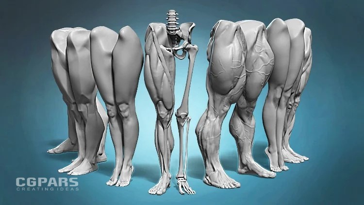 آموزش طراحی و مدلسازی آناتومی پای انسان در بلندر